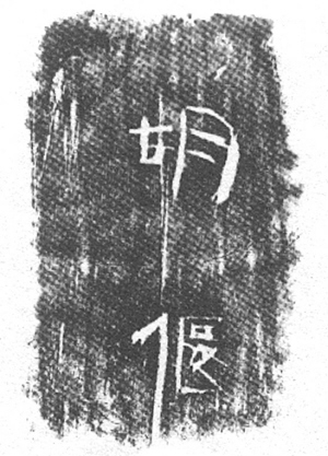 41626564_7.jpg