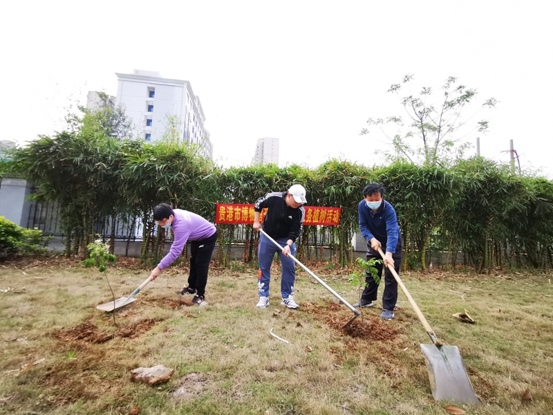 2021年贵港市博物馆开展义务植树活动2.jpg